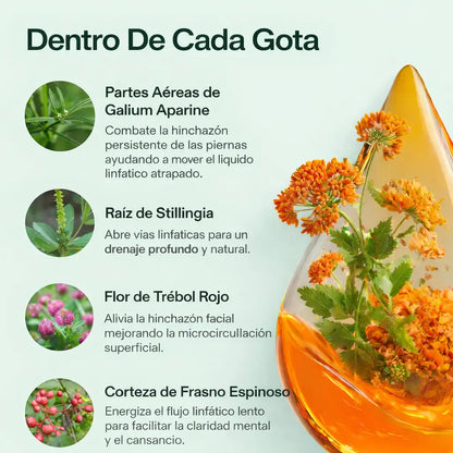 Gotas de bienestar para drenaje Linfático