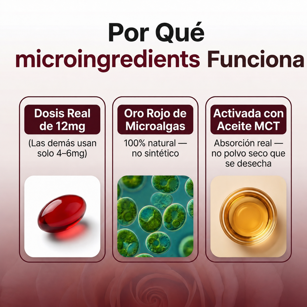 Astaxantina Natural 12mg- Restaura el equilibrio del cuerpo