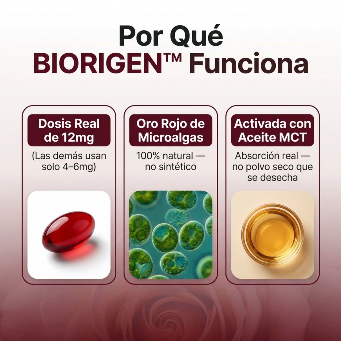 Astaxantina Natural 12mg — Si tu médico te dijo que hay que monitorear tus riñones, esto es lo que puedes empezar a hacer hoy